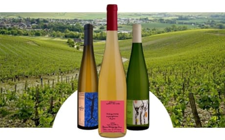 Domaine Ostertag