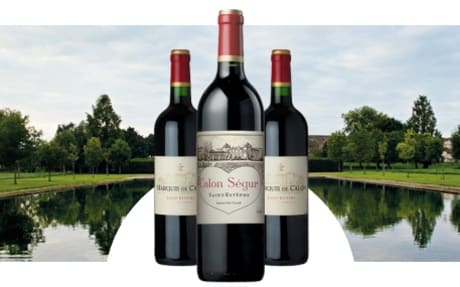 Château Calon-Ségur