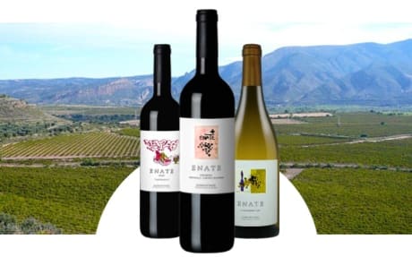 Bodega Enate