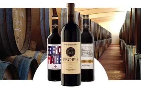 Clos Triguedina