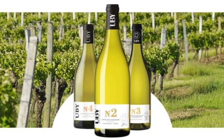 Domaine Uby