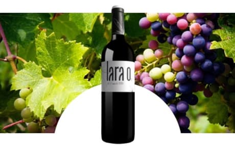 Bodegas Lara Ortiz