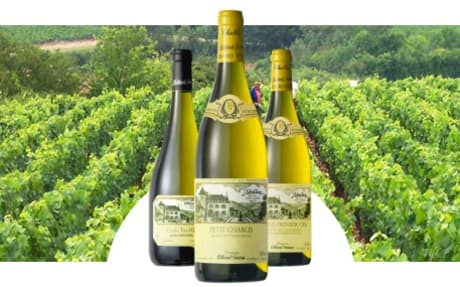 Domaine Billaud-Simon