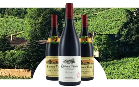 Château Thivin