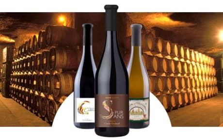 Domaine Couly-Dutheil