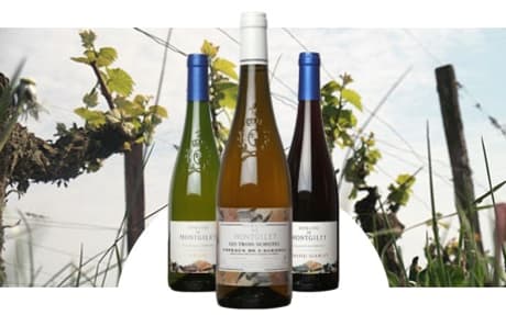 Domaine de Montgilet