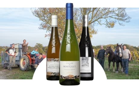 Domaine de Montgilet