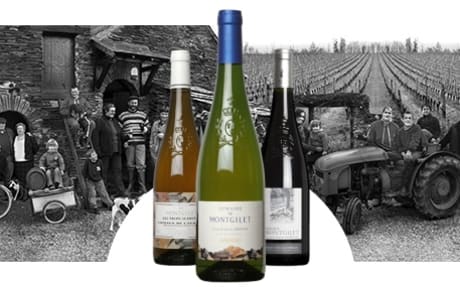 Domaine de Montgilet
