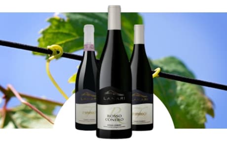 Domaine Lanari