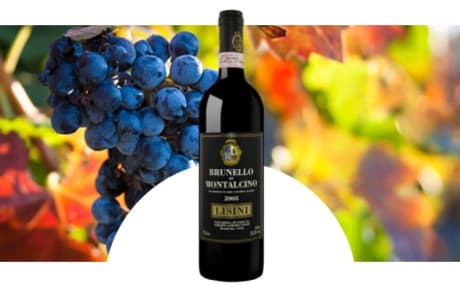 Domaine Lisini