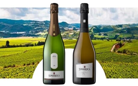 Bodegues Sumarroca