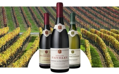 Domaine Faiveley