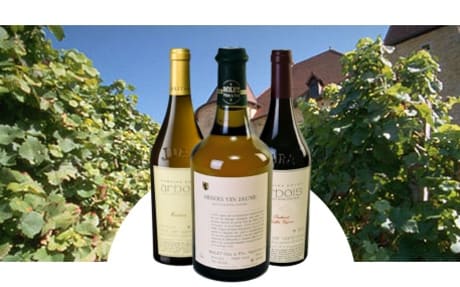 Domaine Rolet