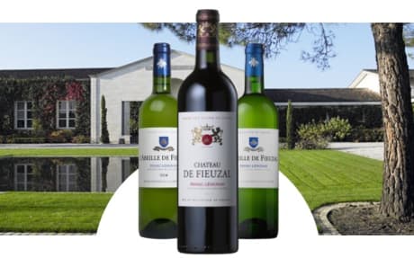 Château de Fieuzal