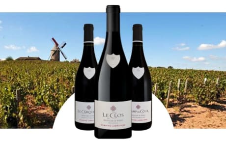Domaine Labruyère