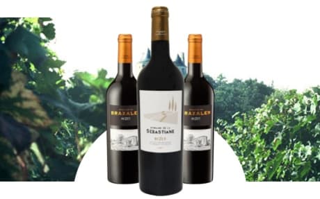 Vignerons de Buzet