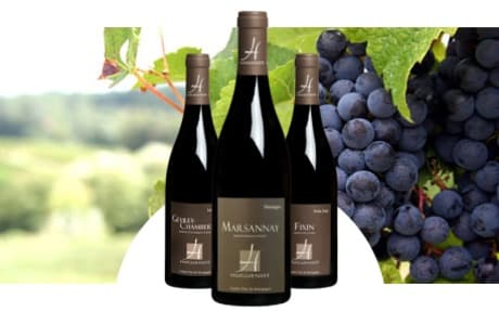 Domaine Huguenot