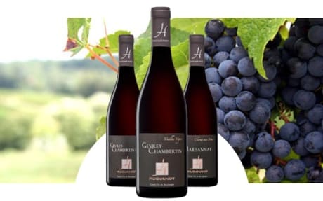Domaine Huguenot