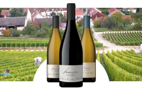 Domaine Pascal et Nicolas Reverdy