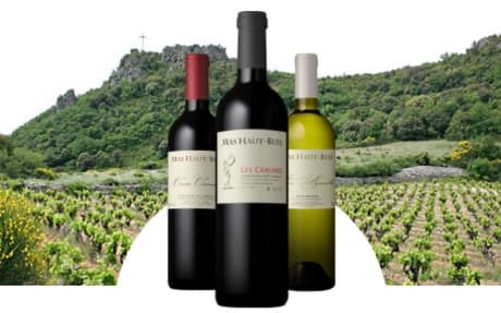 Domaine Mas Haut Buis