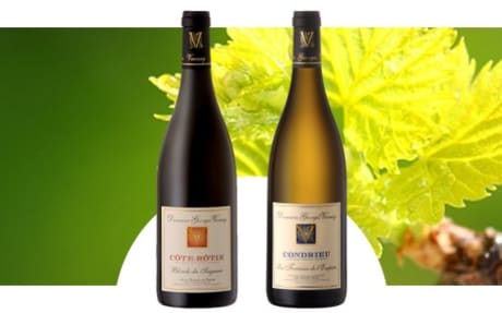 Domaine Georges Vernay