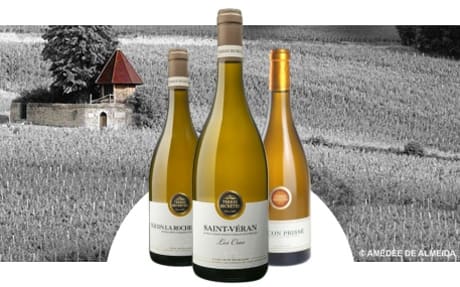 Vignerons des Terres Secrètes