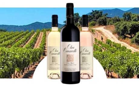 Clos Canarelli