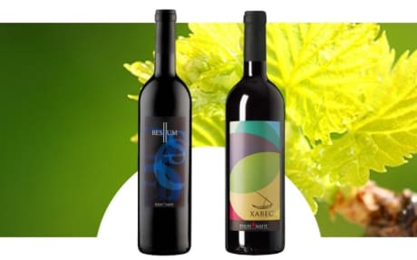 Cellar Besllum