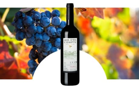 Celler Cal Pla