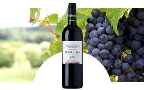 Château Peyroutas