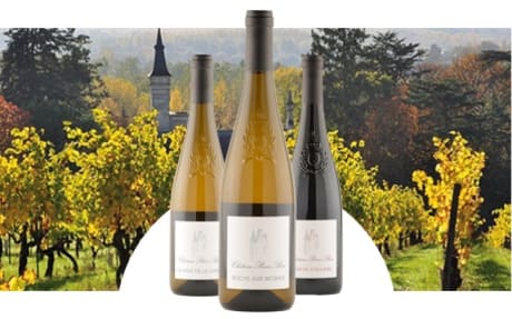 Château Pierre Bise