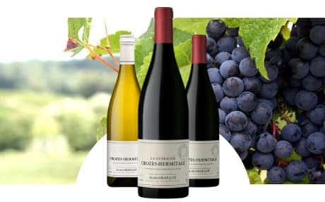 Domaine Alain Graillot