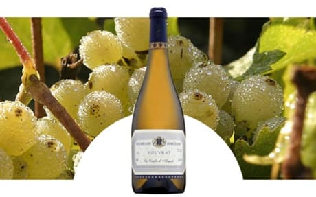 Domaine Bourillon Dorléans