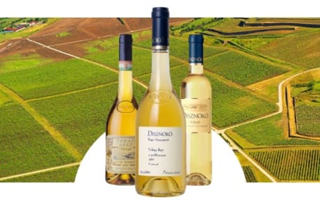 Domaine de Disznoko