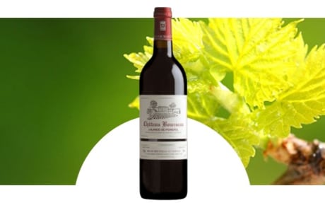 Château Bourseau