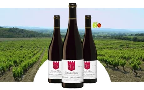 Domaine La Guintrandy