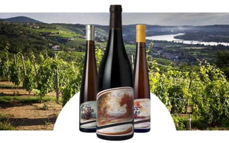 Domaine Pierre Gaillard