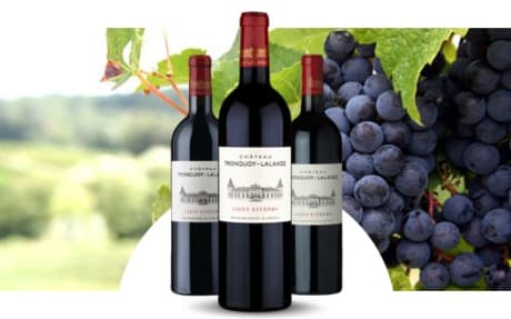 Château Tronquoy-Lalande
