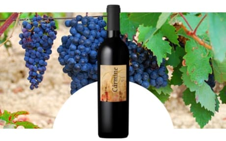 Crapula Wines