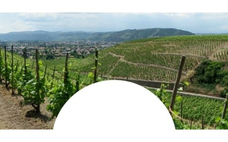 Cave de Tain