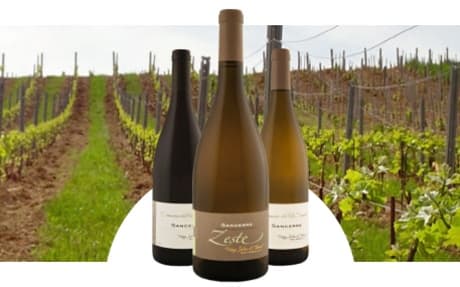 Domaine du Pré Semelé