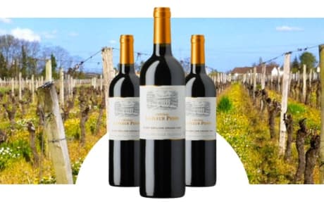 Château La Fleur Penin