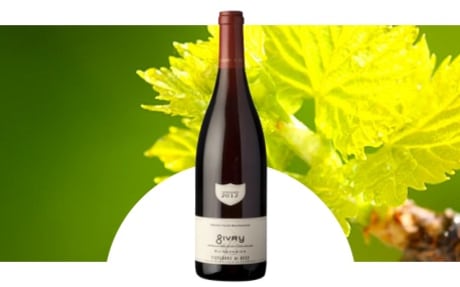 Vignerons de Buxy