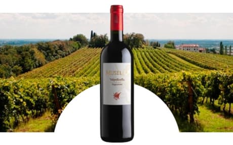Azienda Musella