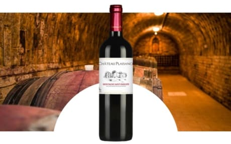 Château Plaisance (Vignobles Ducourt)