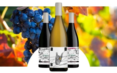 Domaine Christophe Peyrus