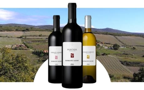 Domaine Gauby