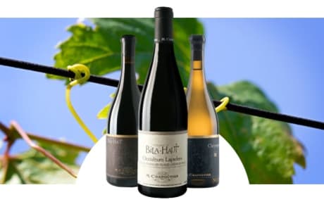 Domaine Bila-Haut
