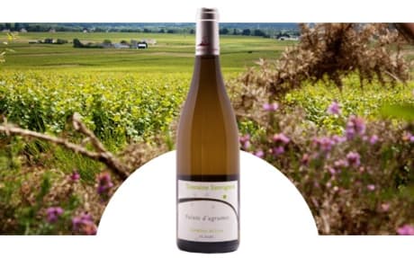 Complices de Loire