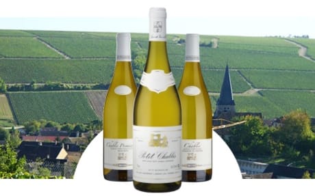 Domaine Alain Geoffroy